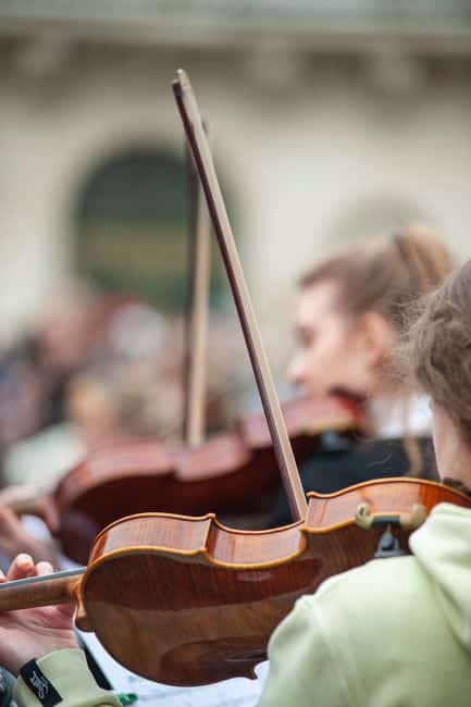 Violon